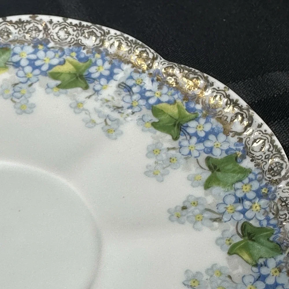 Forget-Me-Not Tea cup Saucer Translucent Fine Porcelain Gold Filigree Ivy ANTQ
